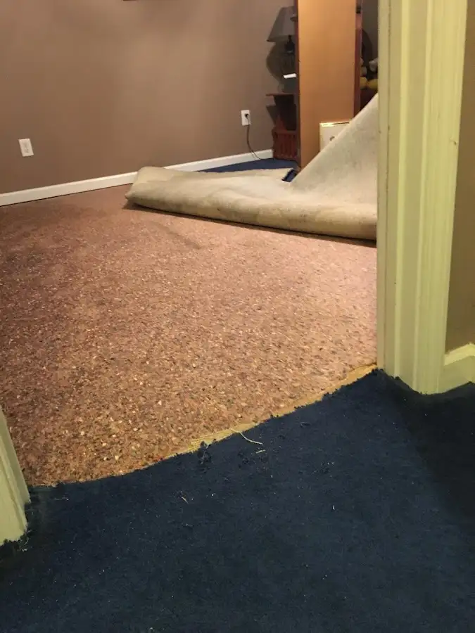 Carpet pad removal revealing water damage during Water Mitigation Services in Edwardsville
