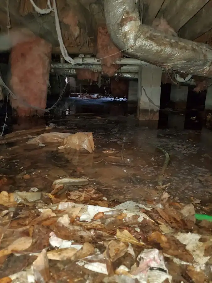 Crawl space flood assessment for Commercial Water Damage Restoration in Edwardsville